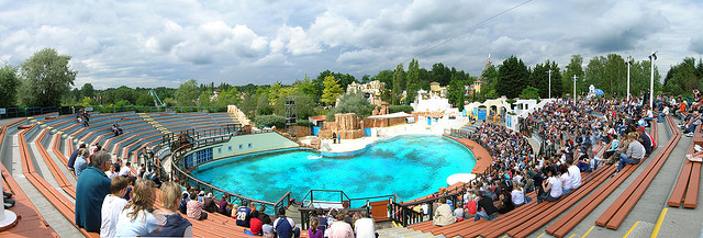 dolphins' pool at the Asterix park